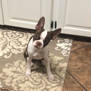 Meet your Posher, Laura